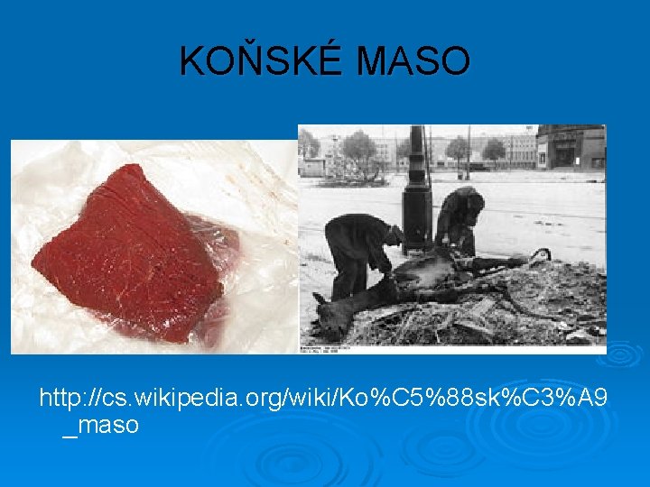 KOŇSKÉ MASO http: //cs. wikipedia. org/wiki/Ko%C 5%88 sk%C 3%A 9 _maso 