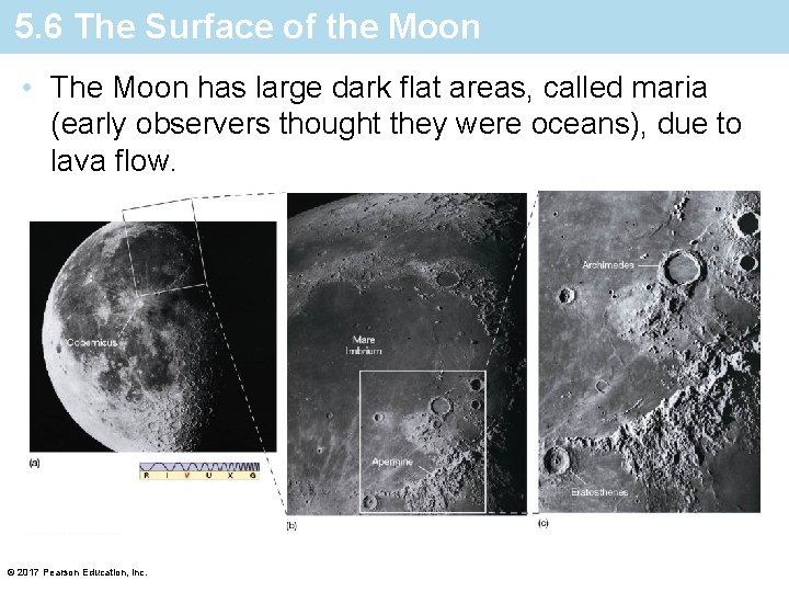 5. 6 The Surface of the Moon • The Moon has large dark flat