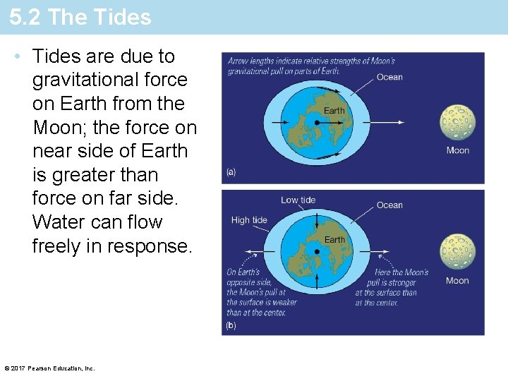 5. 2 The Tides • Tides are due to gravitational force on Earth from