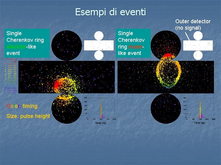 Esempi di eventi Single Cherenkov ring electron-like event Color: timing Size: pulse height Single