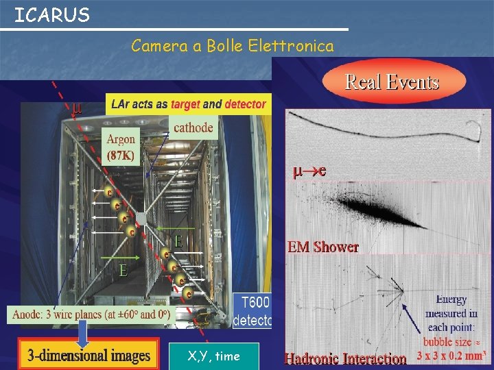 ICARUS Camera a Bolle Elettronica X, Y, time 