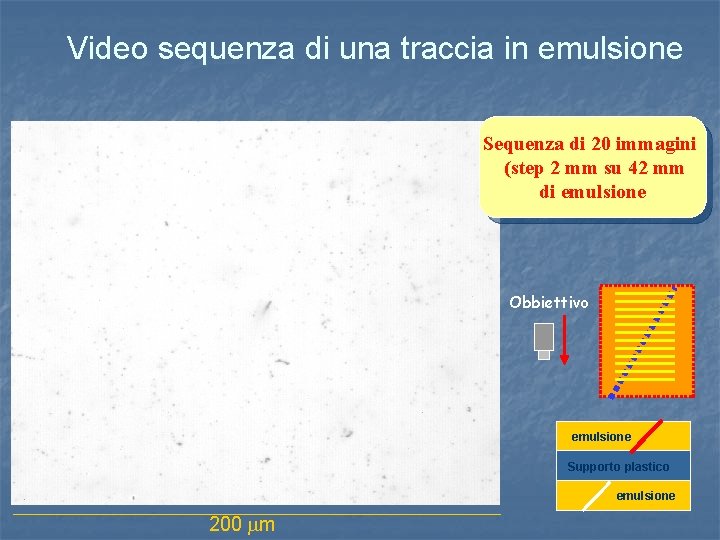 Video sequenza di una traccia in emulsione Sequenza di 20 immagini (step 2 mm
