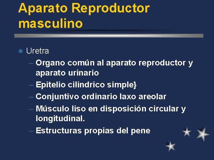 Aparato Reproductor masculino l Uretra – Organo común al aparato reproductor y aparato urinario