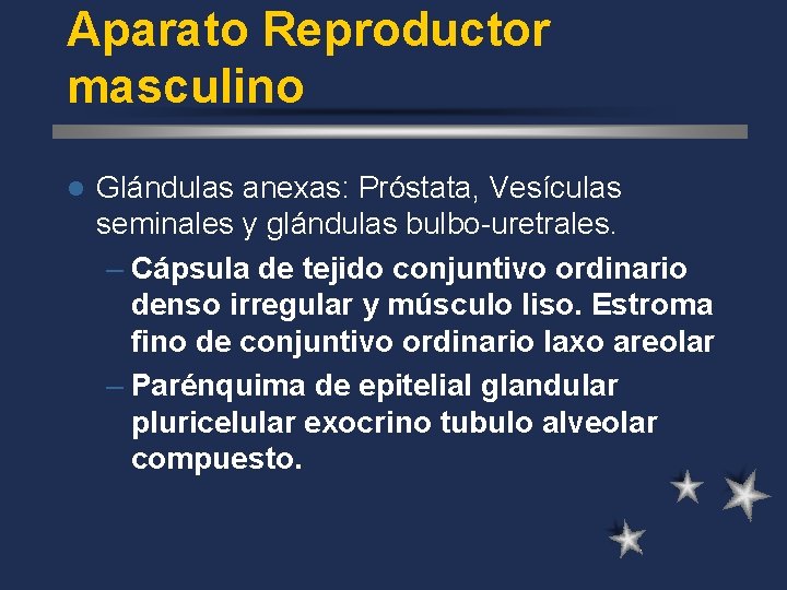 Aparato Reproductor masculino l Glándulas anexas: Próstata, Vesículas seminales y glándulas bulbo-uretrales. – Cápsula