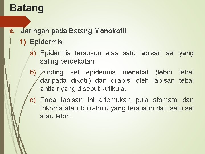 Batang c. Jaringan pada Batang Monokotil 1) Epidermis a) Epidermis tersusun atas satu lapisan