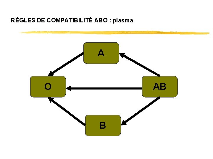 RÈGLES DE COMPATIBILITÉ ABO : plasma A O AB B 