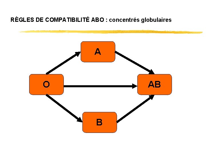 RÈGLES DE COMPATIBILITÉ ABO : concentrés globulaires A O AB B 