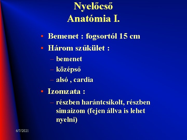 Nyelőcső Anatómia I. • Bemenet : fogsortól 15 cm • Három szűkület : –