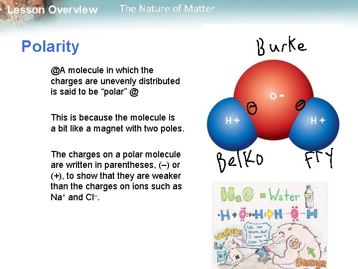 Lesson Overview The Nature of Matter Polarity @A molecule in which the charges are