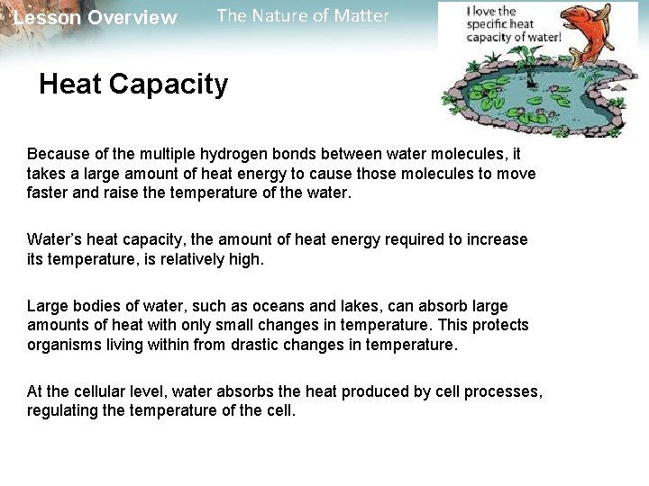 Lesson Overview The Nature of Matter Heat Capacity Because of the multiple hydrogen bonds