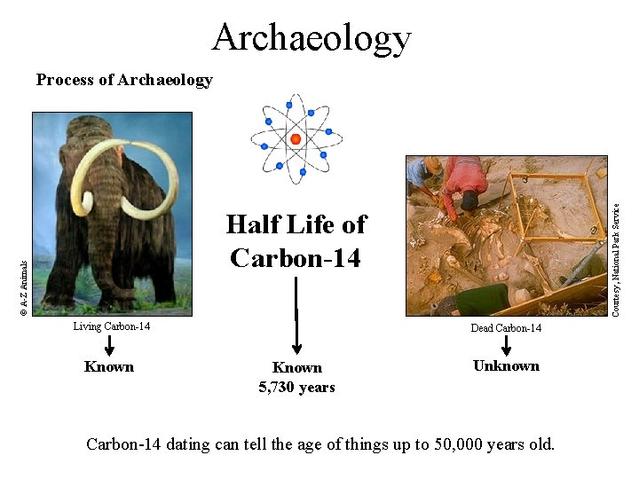 Archaeology Courtesy, National Park Service Process of Archaeology © A-Z Animals Half Life of