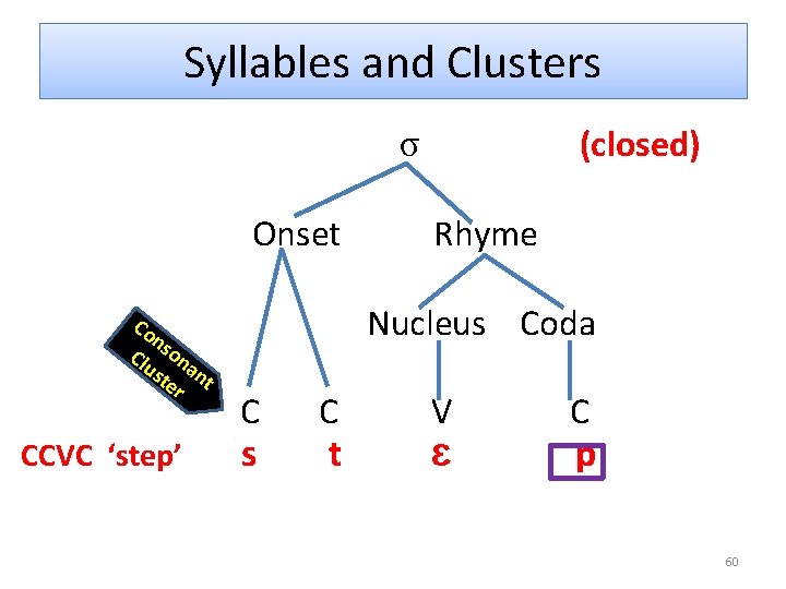 Syllables and Clusters (closed) σ Onset Co ns Clu on ste ant r CCVC