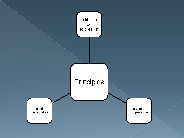 La libertad de expresión Principios La vida participativa La vida en cooperación 