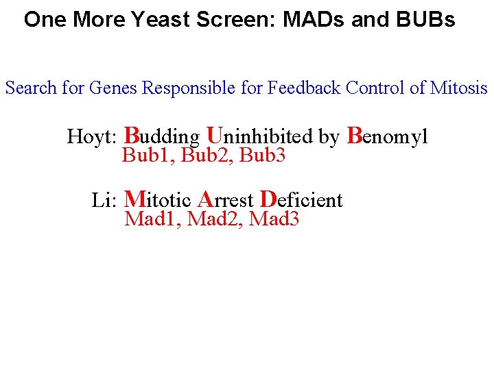 One More Yeast Screen: MADs and BUBs Search for Genes Responsible for Feedback Control