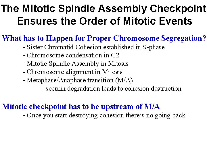 The Mitotic Spindle Assembly Checkpoint Ensures the Order of Mitotic Events What has to