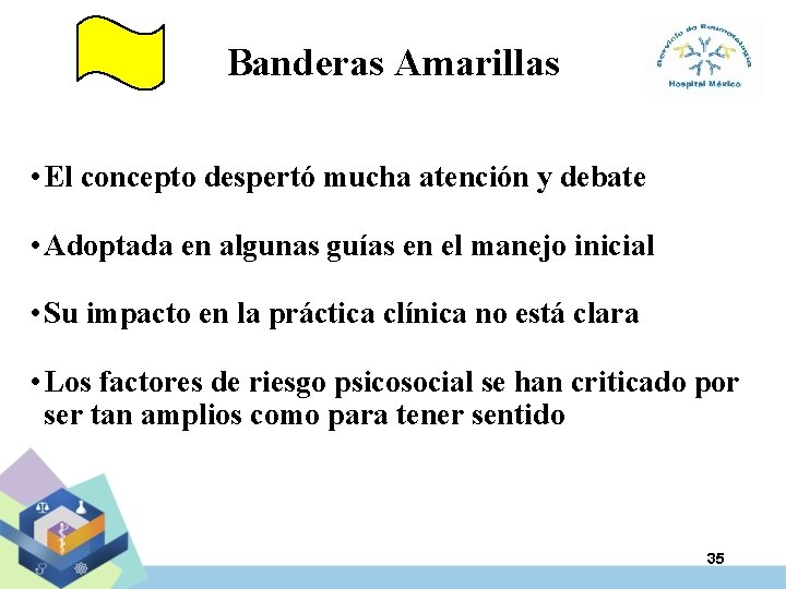 Banderas Amarillas • El concepto despertó mucha atención y debate • Adoptada en algunas