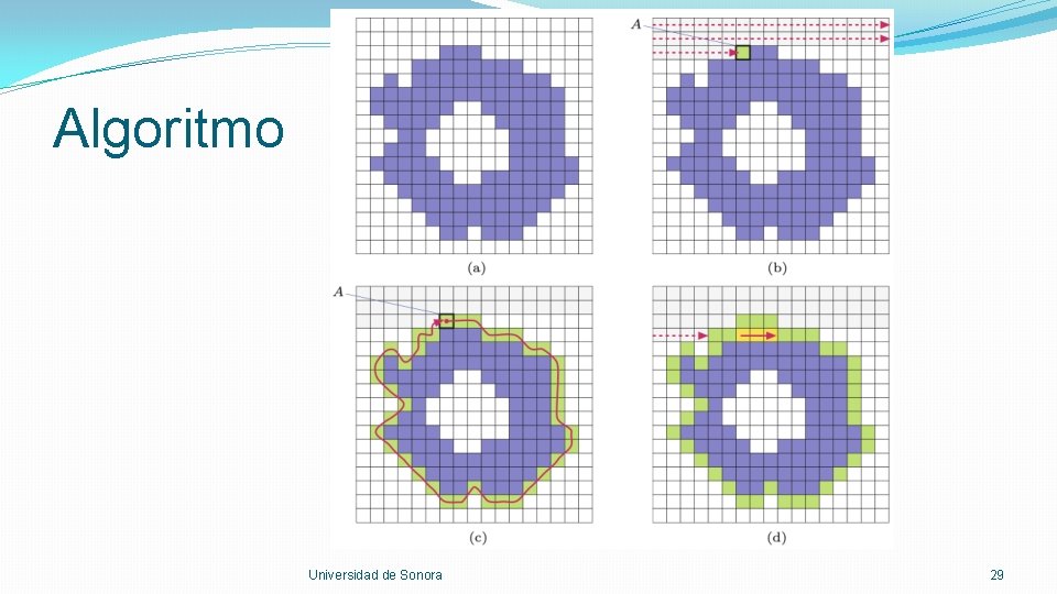 Algoritmo Universidad de Sonora 29 