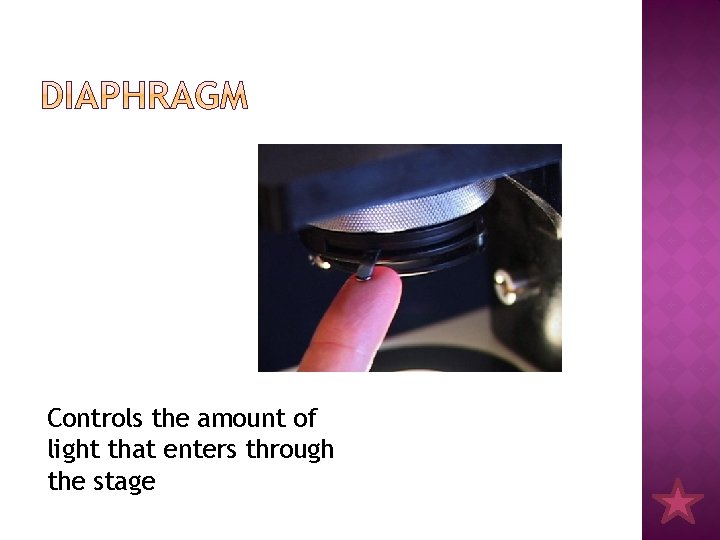 Controls the amount of light that enters through the stage 