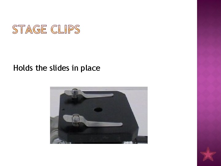 Holds the slides in place 