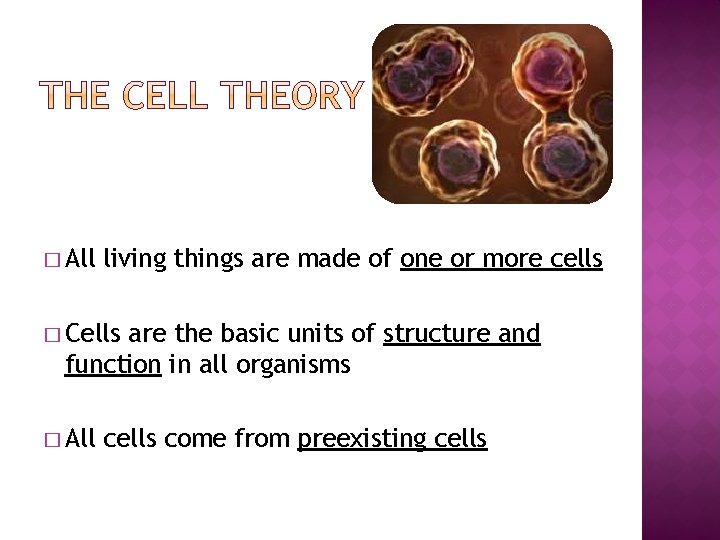 � All living things are made of one or more cells � Cells are