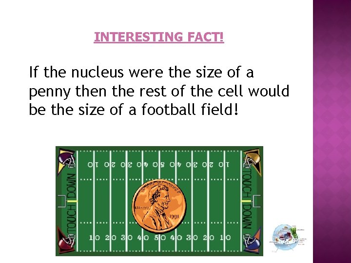 INTERESTING FACT! If the nucleus were the size of a penny then the rest
