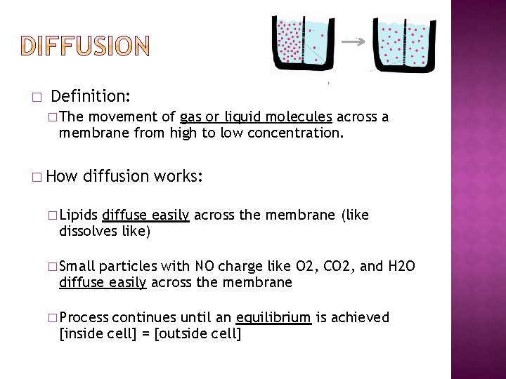 � Definition: � The movement of gas or liquid molecules across a membrane from