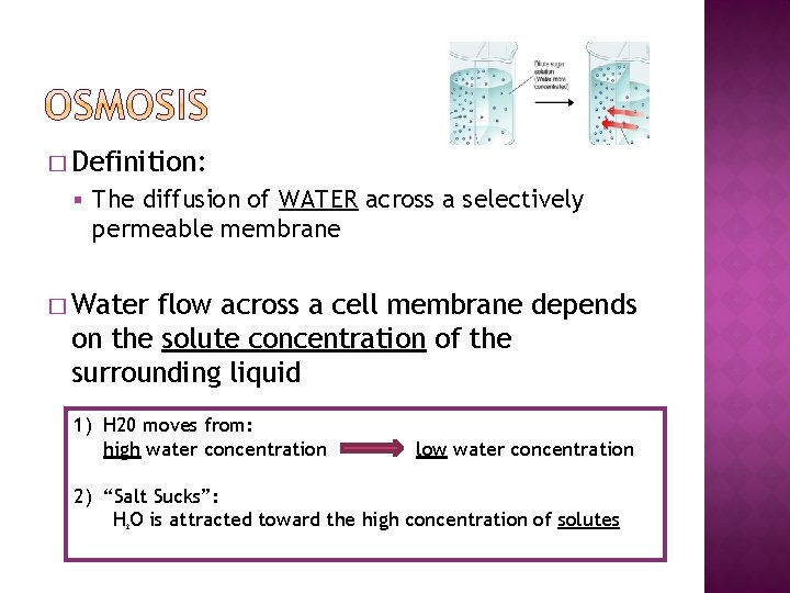 � Definition: § The diffusion of WATER across a selectively permeable membrane � Water