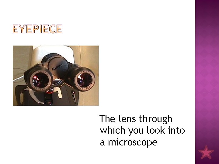 The lens through which you look into a microscope 