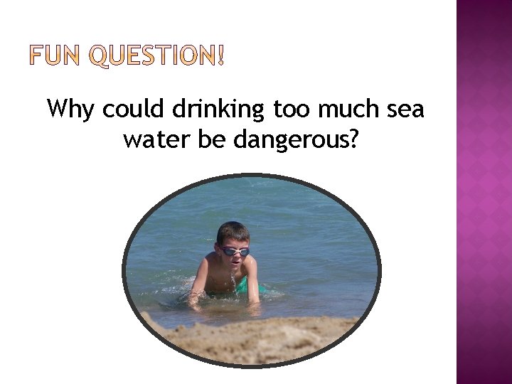 Why could drinking too much sea water be dangerous? 
