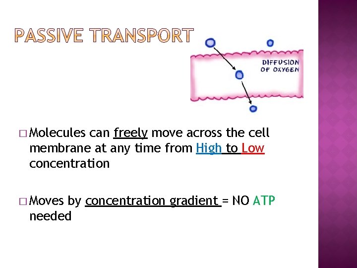 � Molecules can freely move across the cell membrane at any time from High