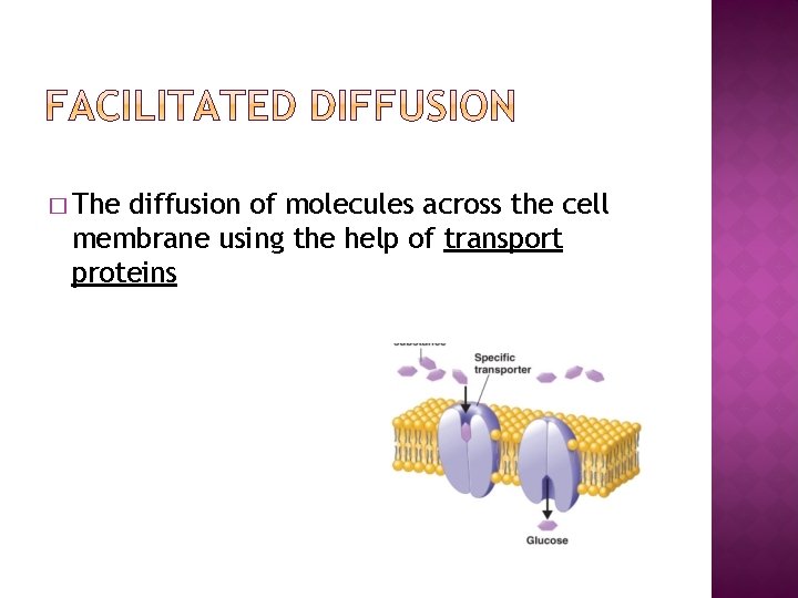 � The diffusion of molecules across the cell membrane using the help of transport