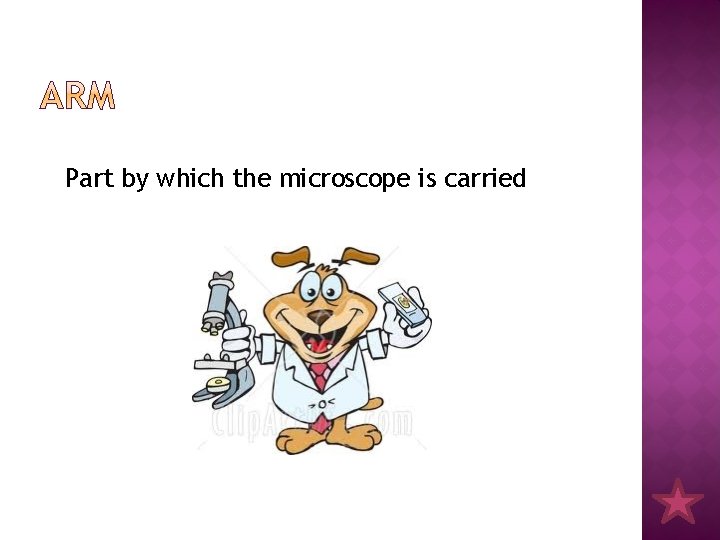 Part by which the microscope is carried 