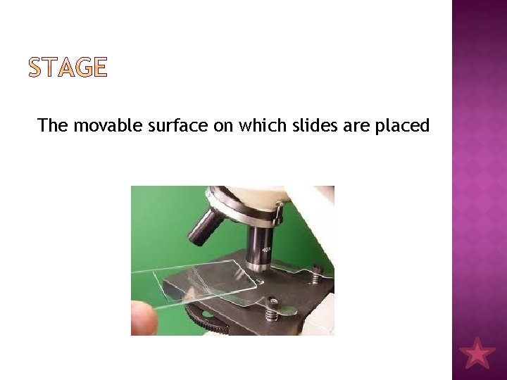The movable surface on which slides are placed 