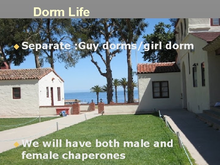 Dorm Life ◆ Separate ◆ We : Guy dorms/girl dorm will have both male