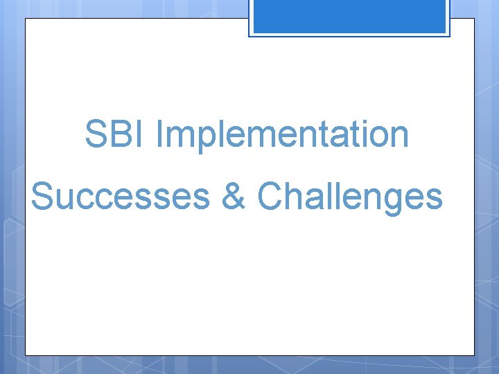 SBI Implementation Successes & Challenges 