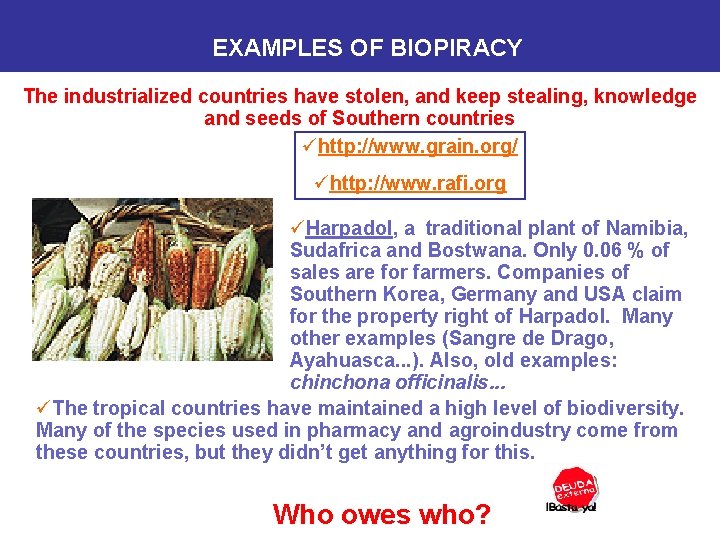 EXAMPLES OF BIOPIRACY The industrialized countries have stolen, and keep stealing, knowledge and seeds