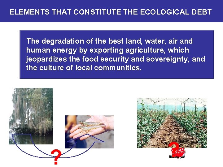 ELEMENTS THAT CONSTITUTE THE ECOLOGICAL DEBT The degradation of the best land, water, air