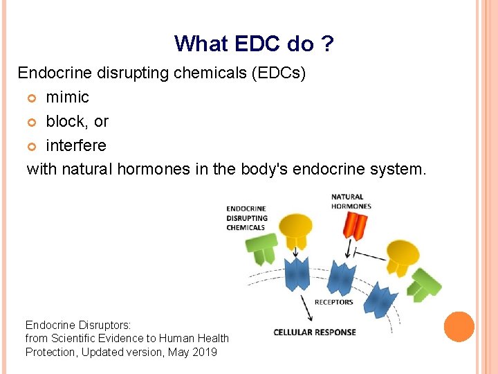 What EDC do ? Endocrine disrupting chemicals (EDCs) mimic block, or interfere with natural