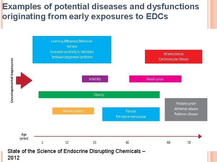 Examples of potential diseases and dysfunctions originating from early exposures to EDCs State of