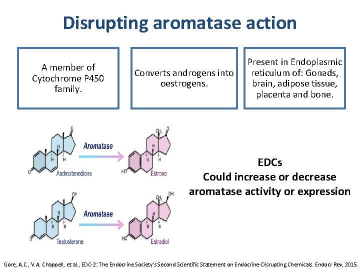 Disrupting aromatase action A member of Cytochrome P 450 family. Converts androgens into oestrogens.