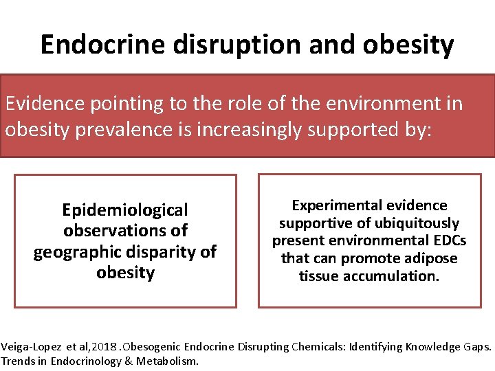 Endocrine disruption and obesity Evidence pointing to the role of the environment in obesity