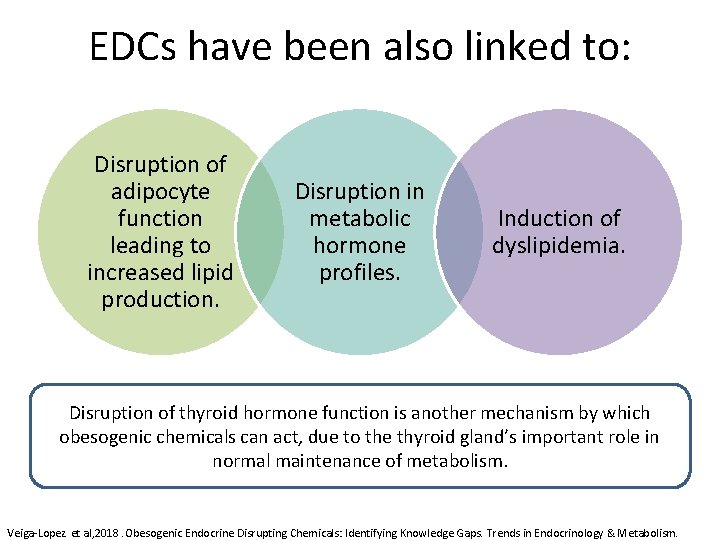 EDCs have been also linked to: Disruption of adipocyte function leading to increased lipid