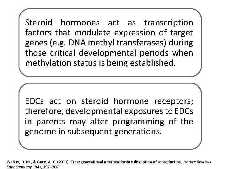 Steroid hormones act as transcription factors that modulate expression of target genes (e. g.