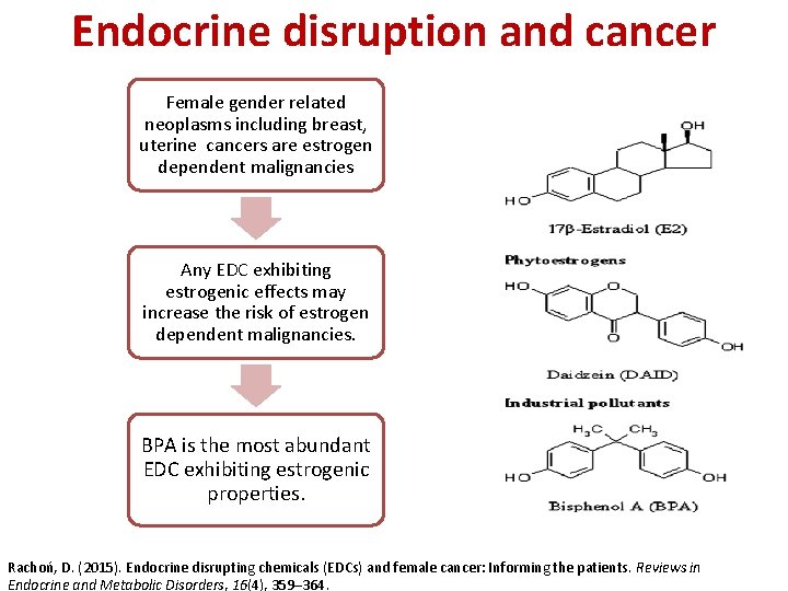 Endocrine disruption and cancer Female gender related neoplasms including breast, uterine cancers are estrogen