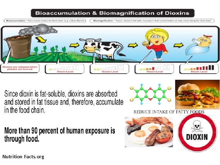 Nutrition Facts. org 