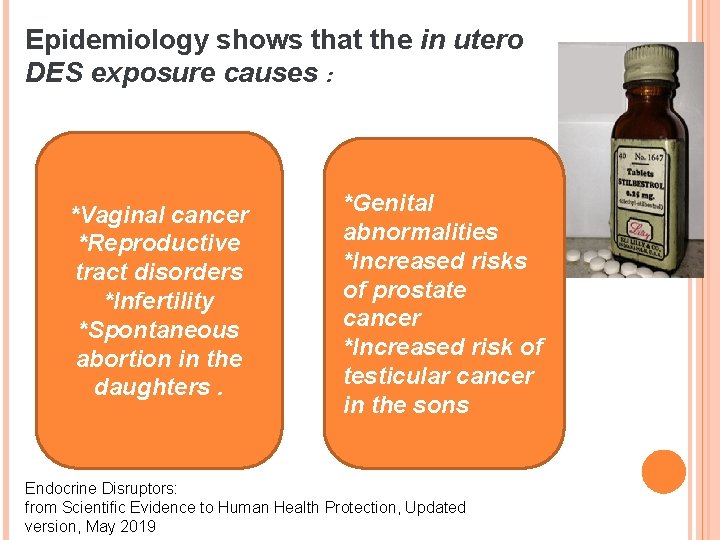 Epidemiology shows that the in utero DES exposure causes : *Vaginal cancer *Reproductive tract