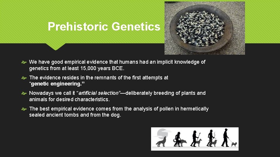 Prehistoric Genetics We have good empirical evidence that humans had an implicit knowledge of
