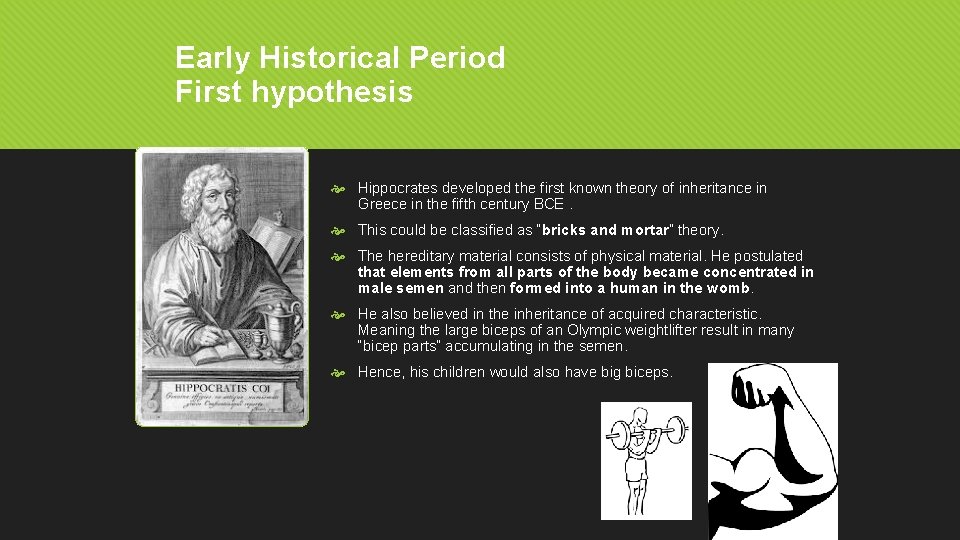 Early Historical Period First hypothesis Hippocrates developed the first known theory of inheritance in