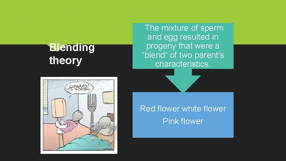 Blending theory The mixture of sperm and egg resulted in progeny that were a