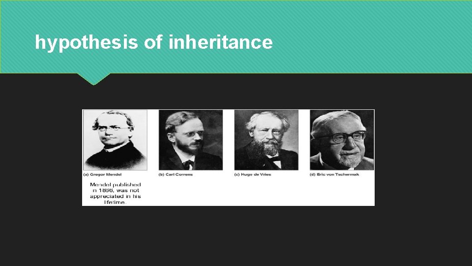 hypothesis of inheritance 